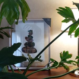 Haindpainted OOAK Cairn Mikasa Framed